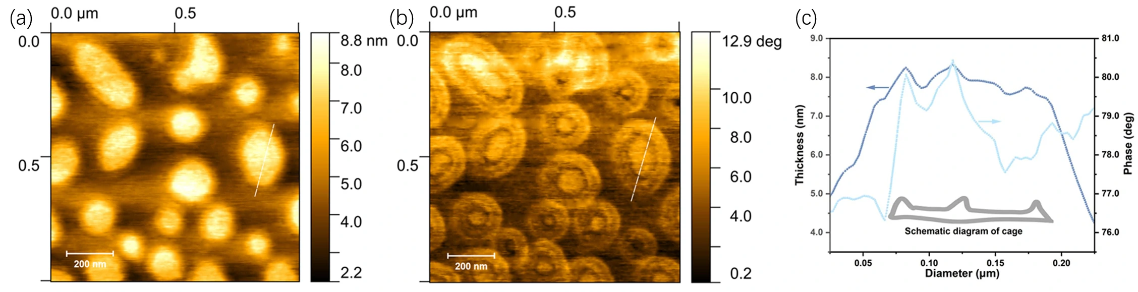 钾锂组装原子力2